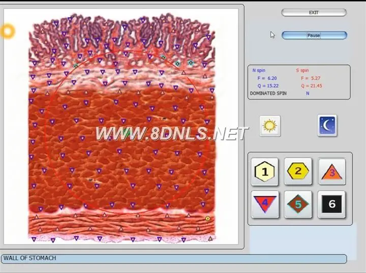 What Is NLS Diagnostic Body Analyzer Quantum Use For
