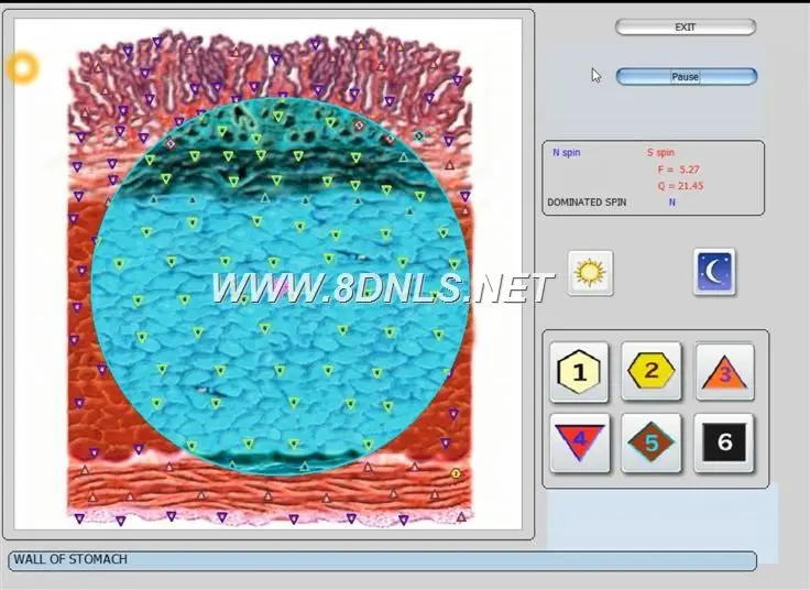 What Is NLS Diagnostic Body Analyzer Quantum Use For