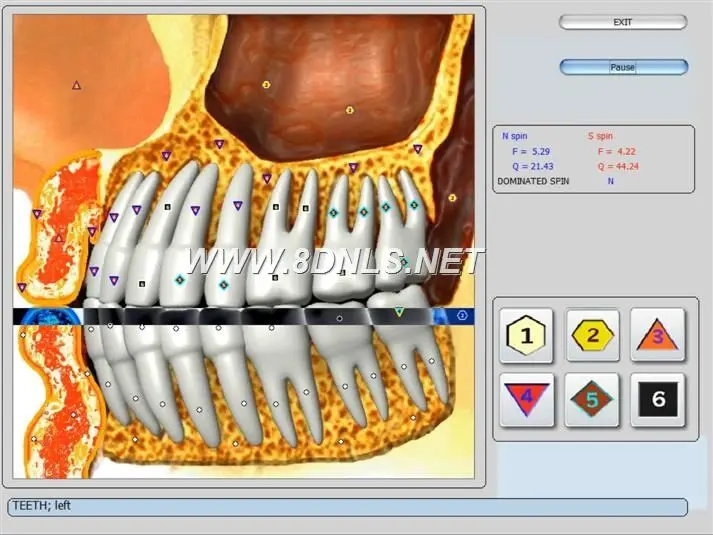 What Is NLS Diagnostic Body Analyzer Quantum Use For