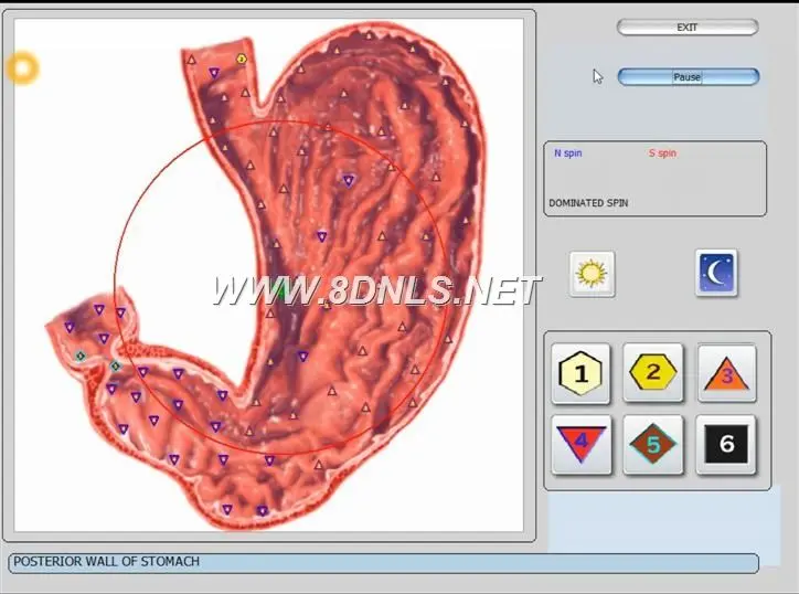 What Is NLS Diagnostic Body Analyzer Quantum Use For