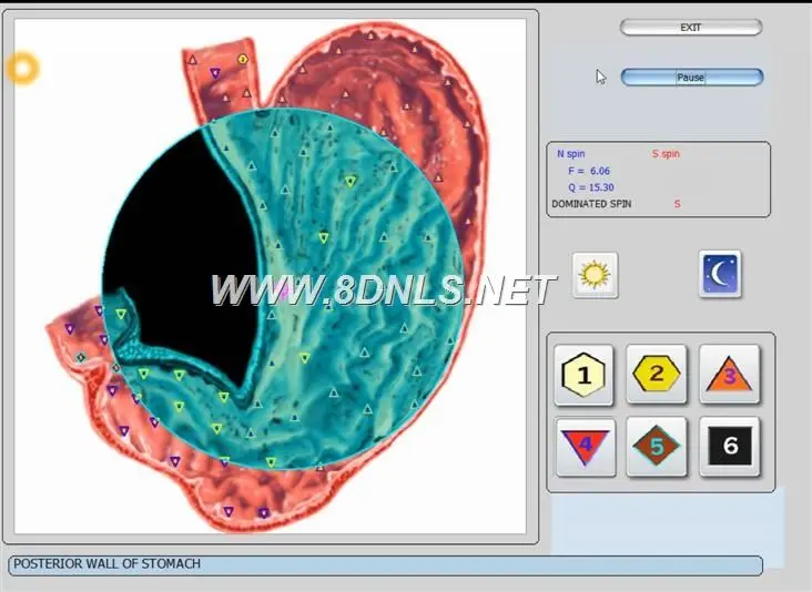 What Is NLS Diagnostic Body Analyzer Quantum Use For