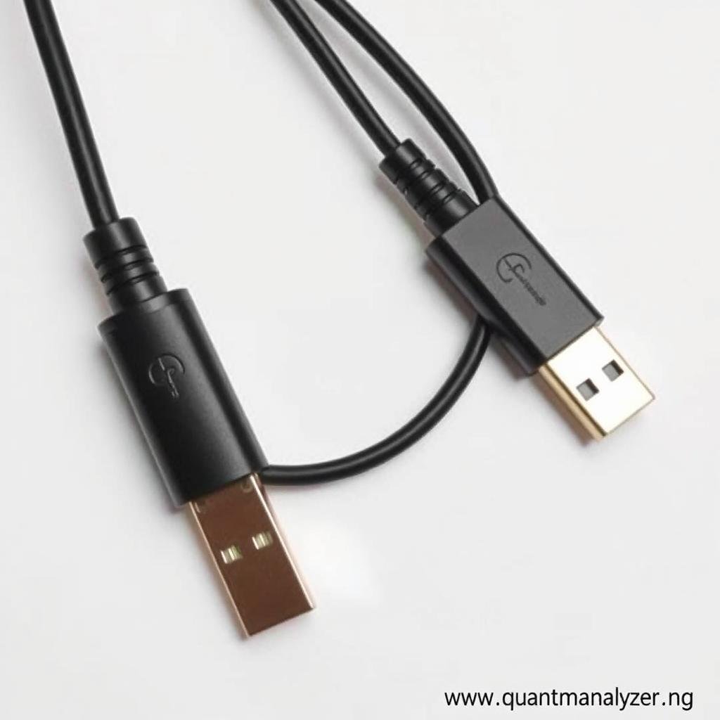 High-speed USB cables for Quantum Resonance Magnetic Analyzer High-speed USB cables for Quantum Resonance Magnetic Analyzer