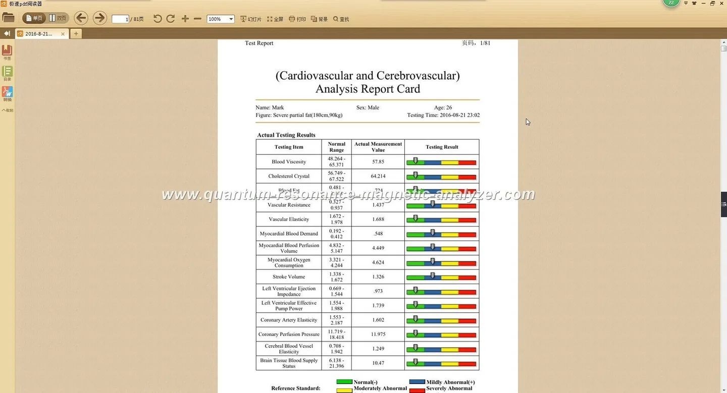 Can a Nigerian wellness centre use quantum analysis? Practical guidance for owners — quantum resonance magnetic analyzer software Reports (6).JPG